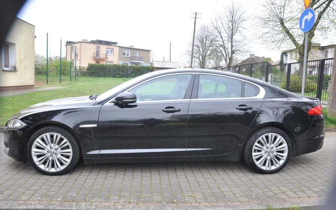 Jaguar XF cena 59900 przebieg: 226000, rok produkcji 2014 z Recz małe 436